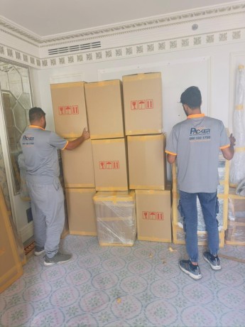 mister-packer-expert-villa-movers-in-dubai-big-0